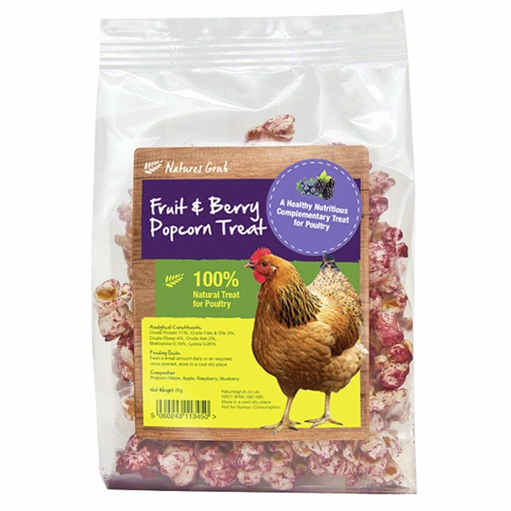 Natures Grub Popcorn Treat With Fruit & Berries 20g 20g