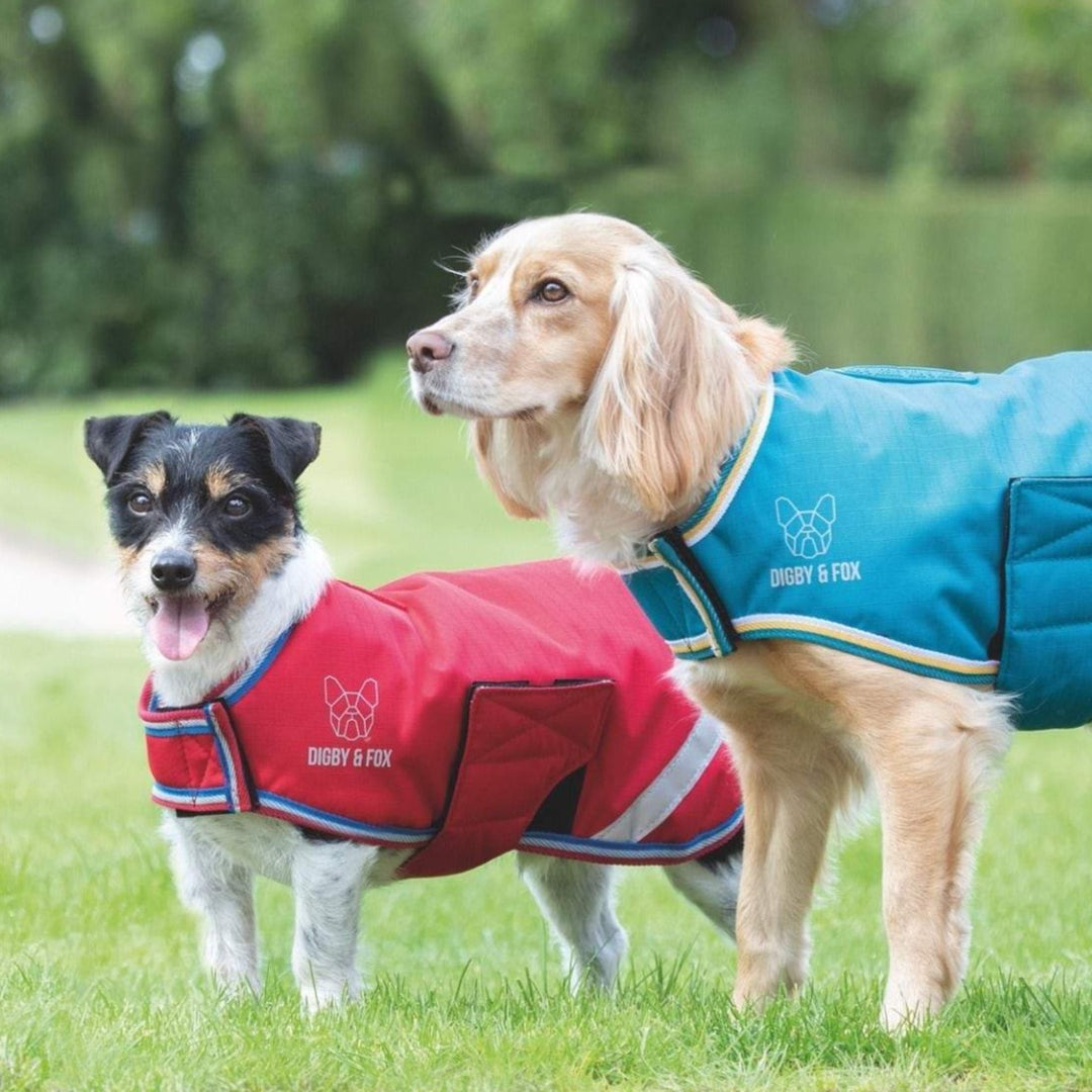 Digby & Fox Waterproof Dog Coat