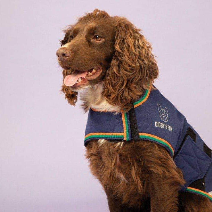 Digby & Fox Waterproof Dog Coat