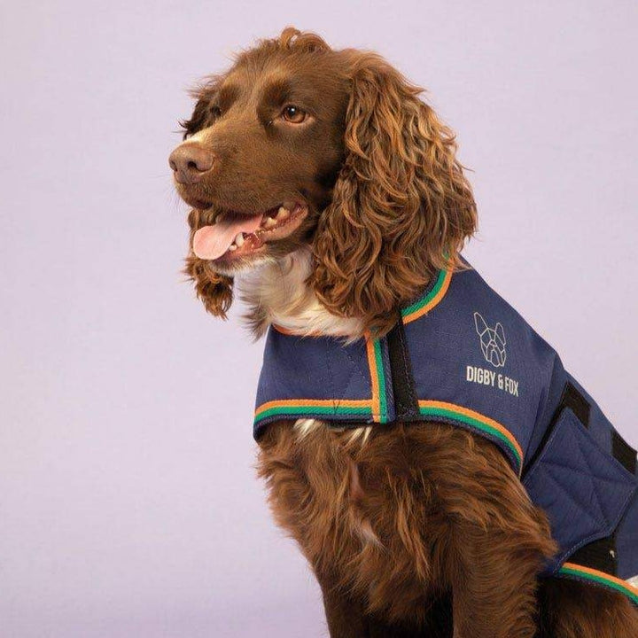 Digby & Fox Waterproof Dog Coat