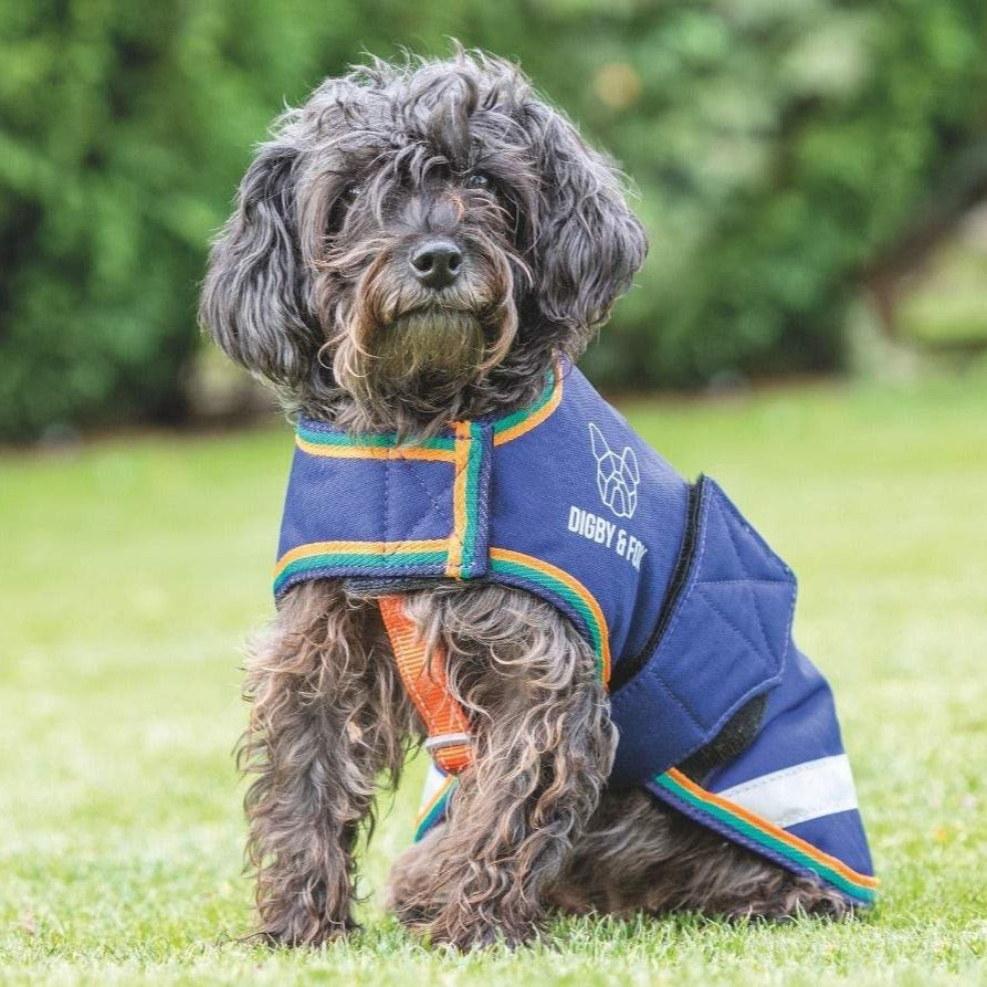 Digby & Fox Waterproof Dog Coat
