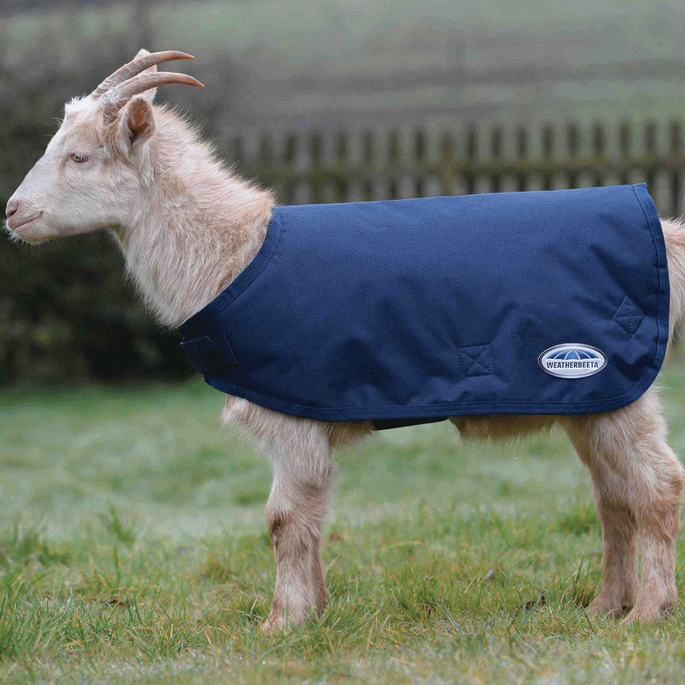 The Weatherbeeta Goat Coat in Navy#Navy