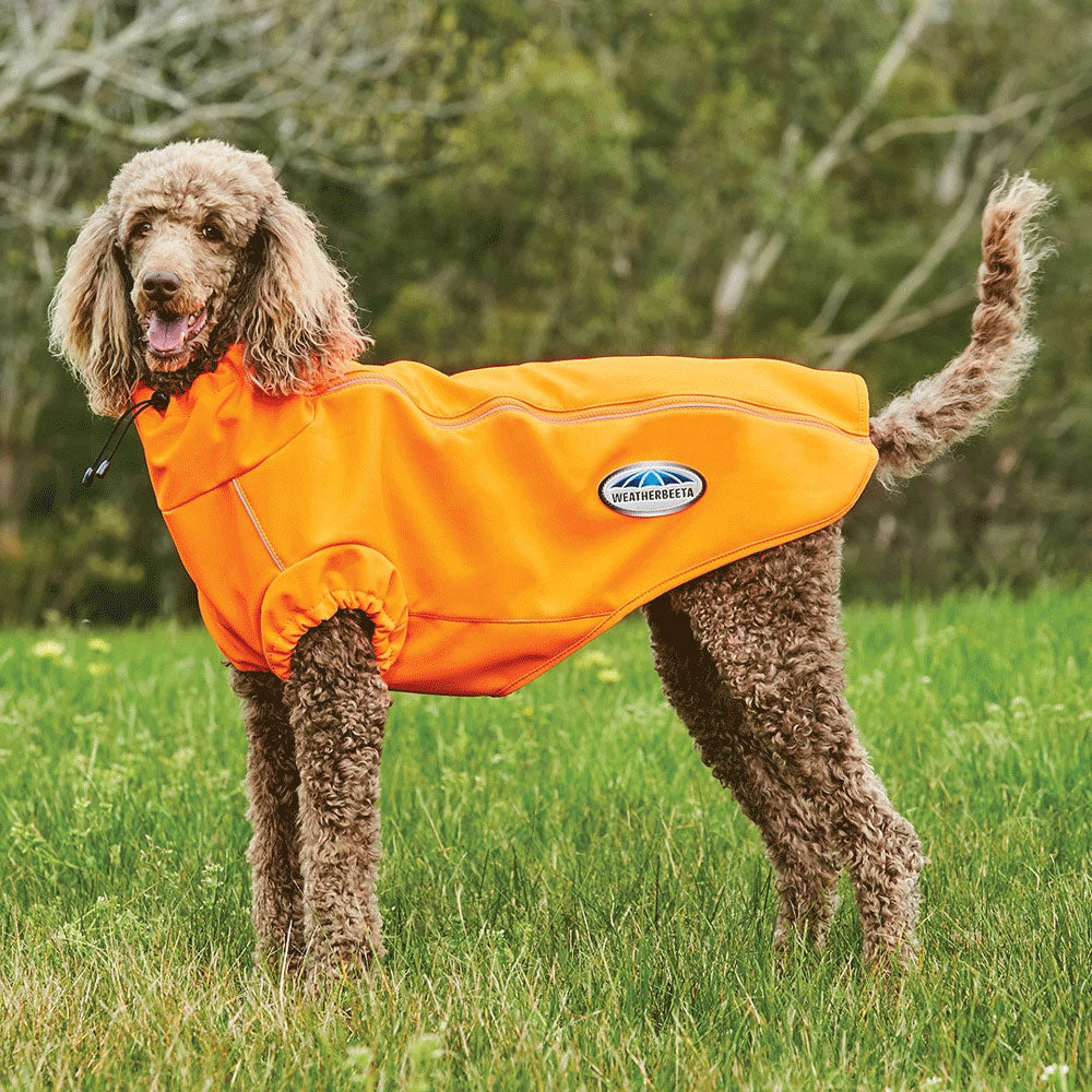 The Weatherbeeta Comfitec Active Dog Coat in Orange#Orange