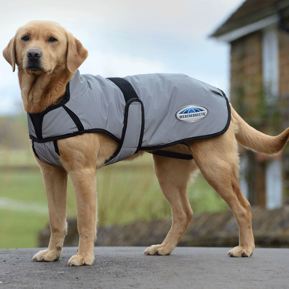The Weatherbeeta Comfitec Reflective Dog Coat in Silver#Silver