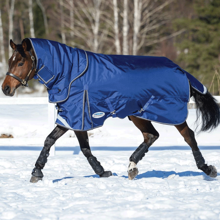 The Weatherbeeta Comfitec Ultra Tough II Detach-A-Neck Medium Turnout Rug in Blue#Blue