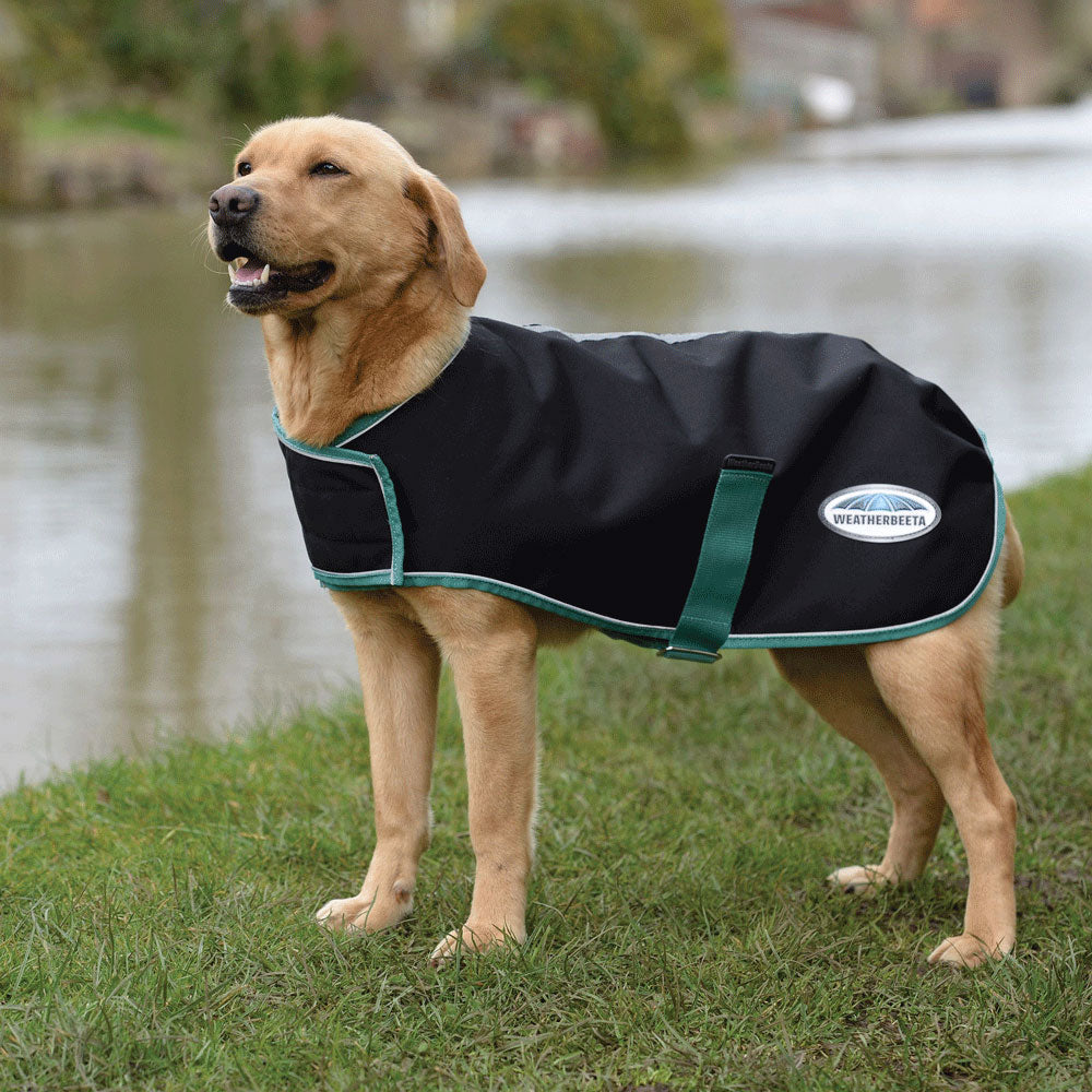 The Weatherbeeta Green-Tec 900D Dog Coat in Black#Black