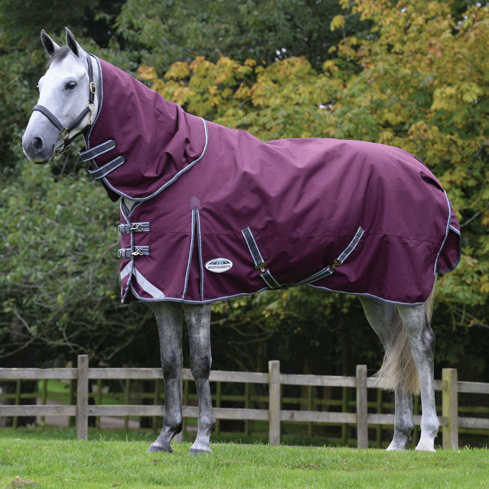 The Weatherbeeta Comfitec Plus Dynamic II Detach-A-Neck Medium/Lite Turnout Rug in Burgundy#Burgundy