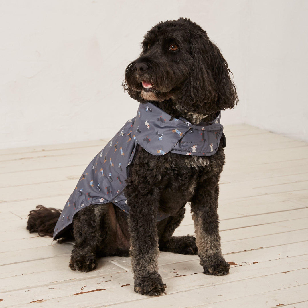 The FatFace Marching Dogs Raincoat in Grey Print#Grey Print