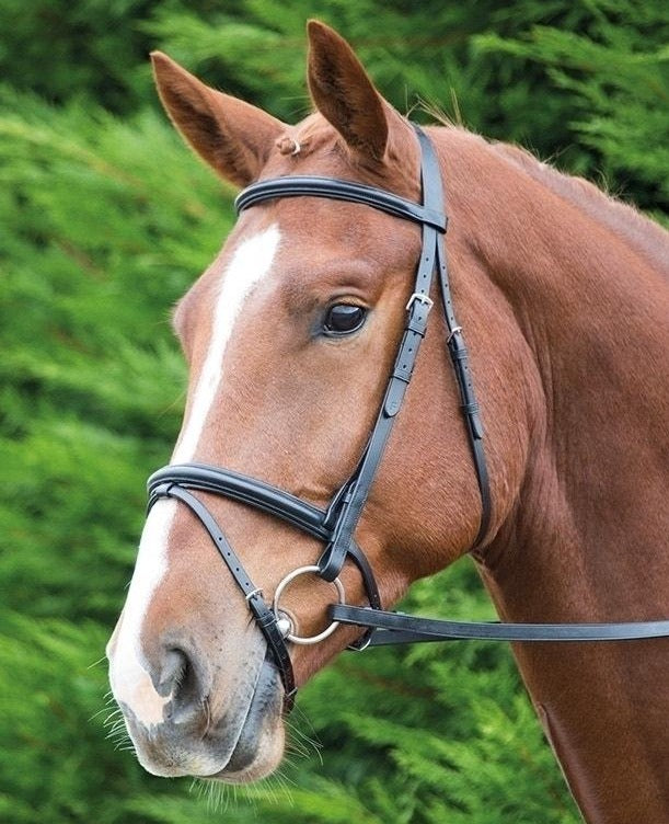 The Shires Aviemore Raised Flash Bridle in Black#Black