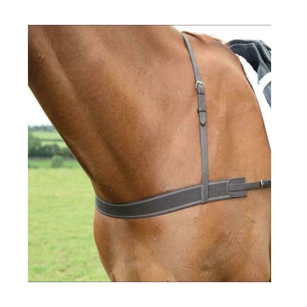 The Shires Blenheim Elastic Breastgirth in Brown#Brown