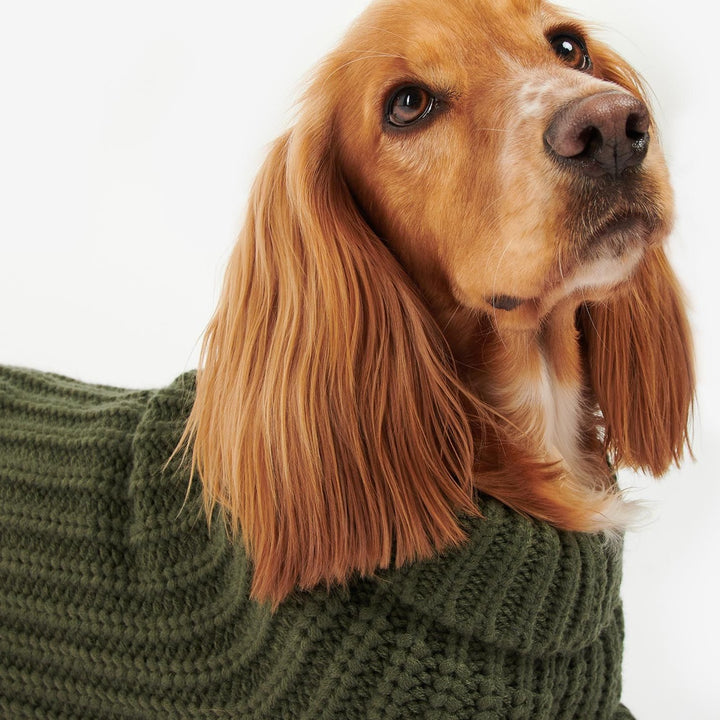 Barbour Saltburn Dog Jumper