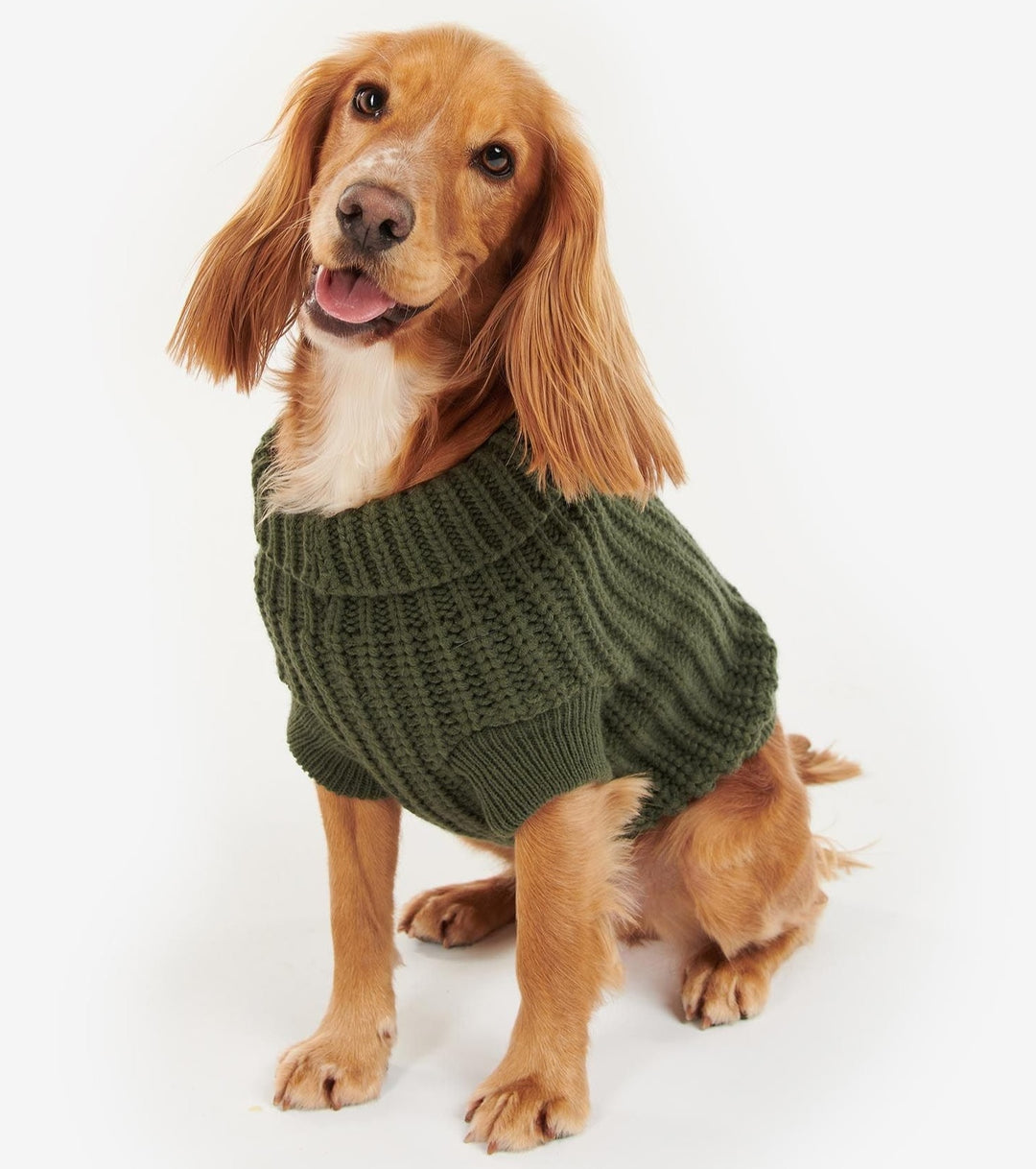Barbour Saltburn Dog Jumper