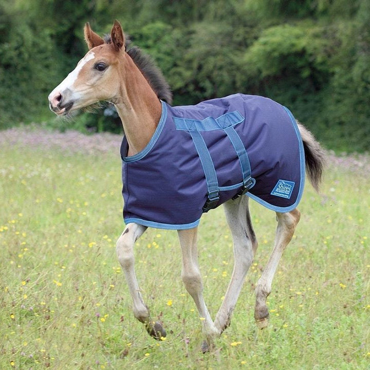 Shires Tempest Foal Rug#Blue