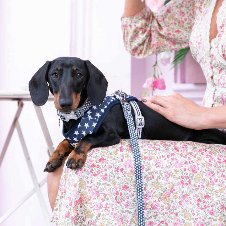 Hugo & Hudson Printed Dog Lead