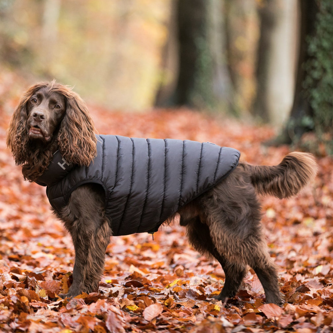 Hugo & Hudson Puffer Jacket for Dogs