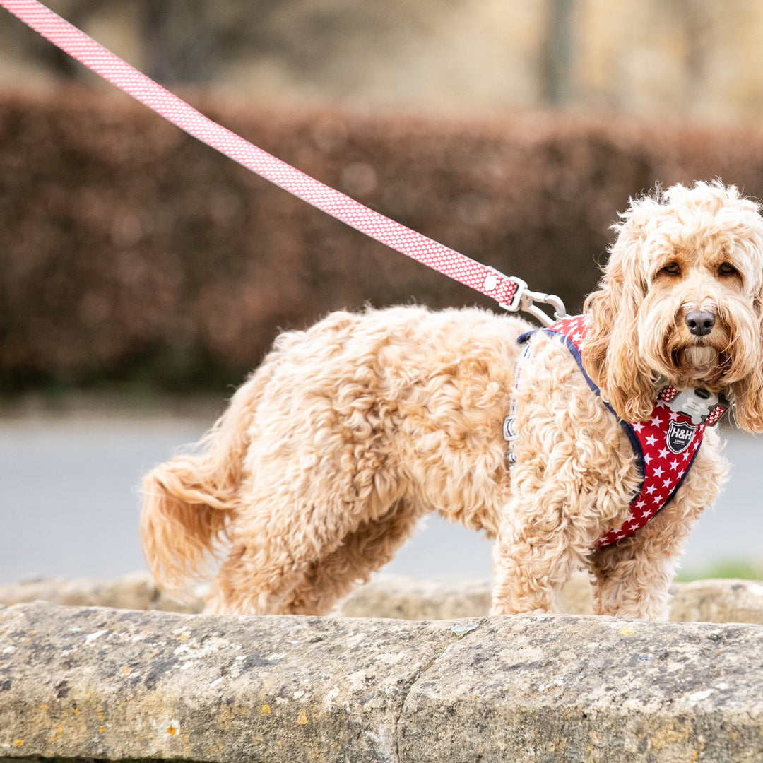 Hugo & Hudson Printed Dog Lead