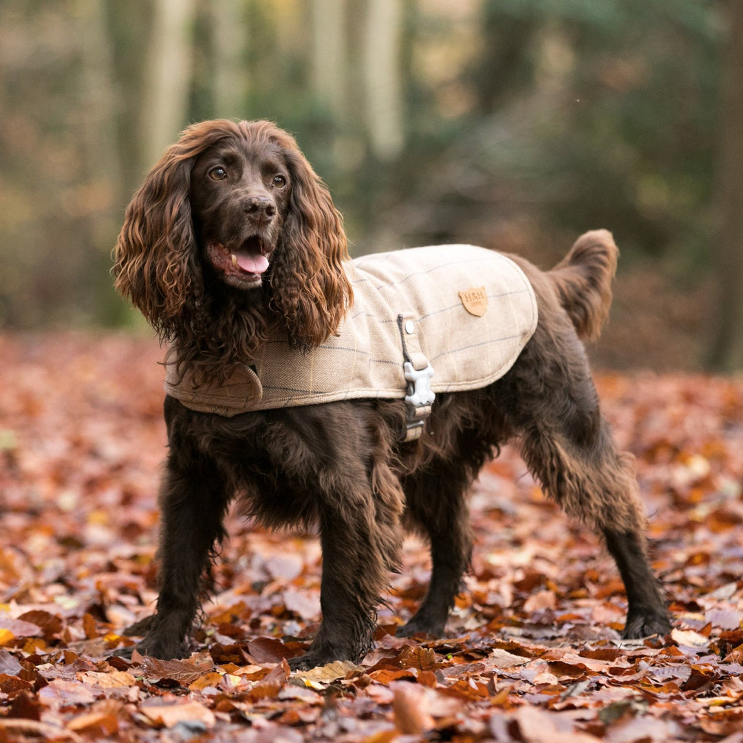The Hugo & Hudson Tweed Dog Coat in Brown#Brown