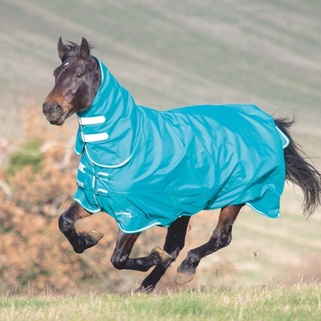 The Shires Tempest Plus 200g Combo Turnout in Turquoise#Turquoise