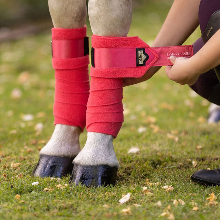 LeMieux Loire Satin Polo Bandages