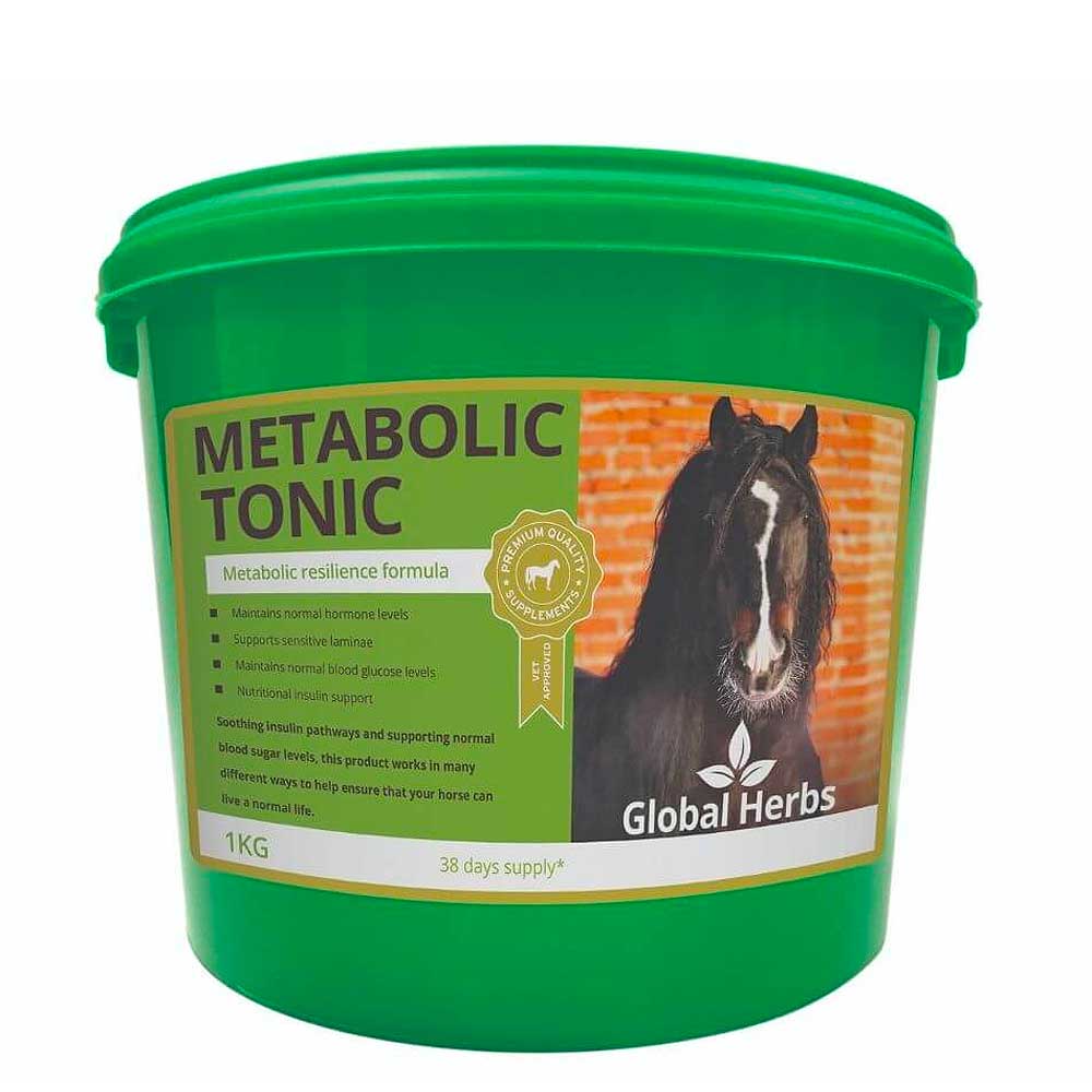 Global Herbs Metabolic Tonic for Horses 1kg