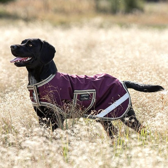 Amigo Dog Ripstop Waterproof Rug in Purple#Purple