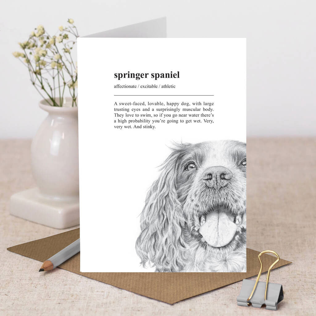Coulson Macleod Pooch Springer Spaniel Card