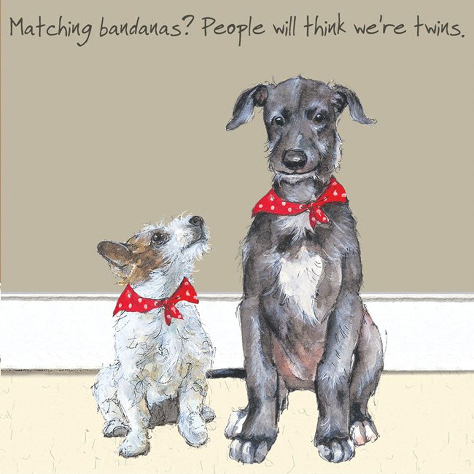 The Little Dog Laughed 'Twins' Digs & Manor Card