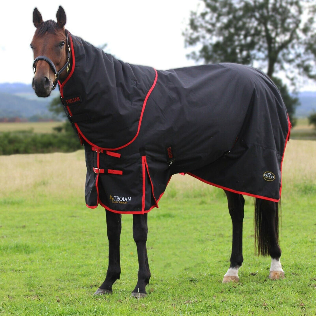 The Gallop Trojan Dual Set 200g Turnout in Black#Black