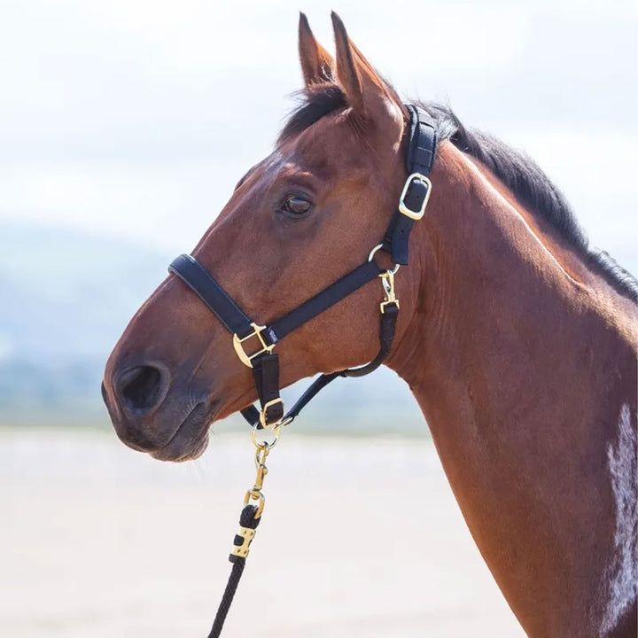 The Shires Topaz Nylon Headcollar in Black#Black