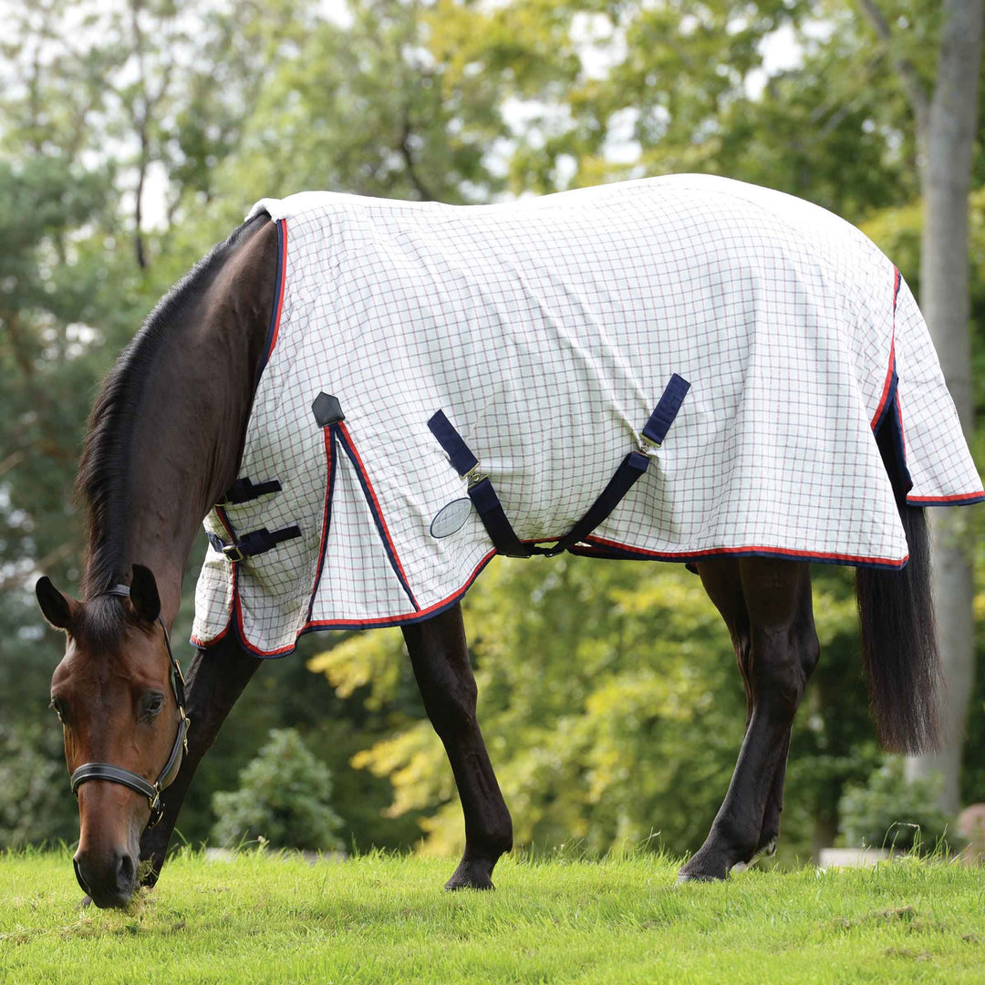 Weatherbeeta Summer Sheet Lite III Standard Neck 5ft 6inch