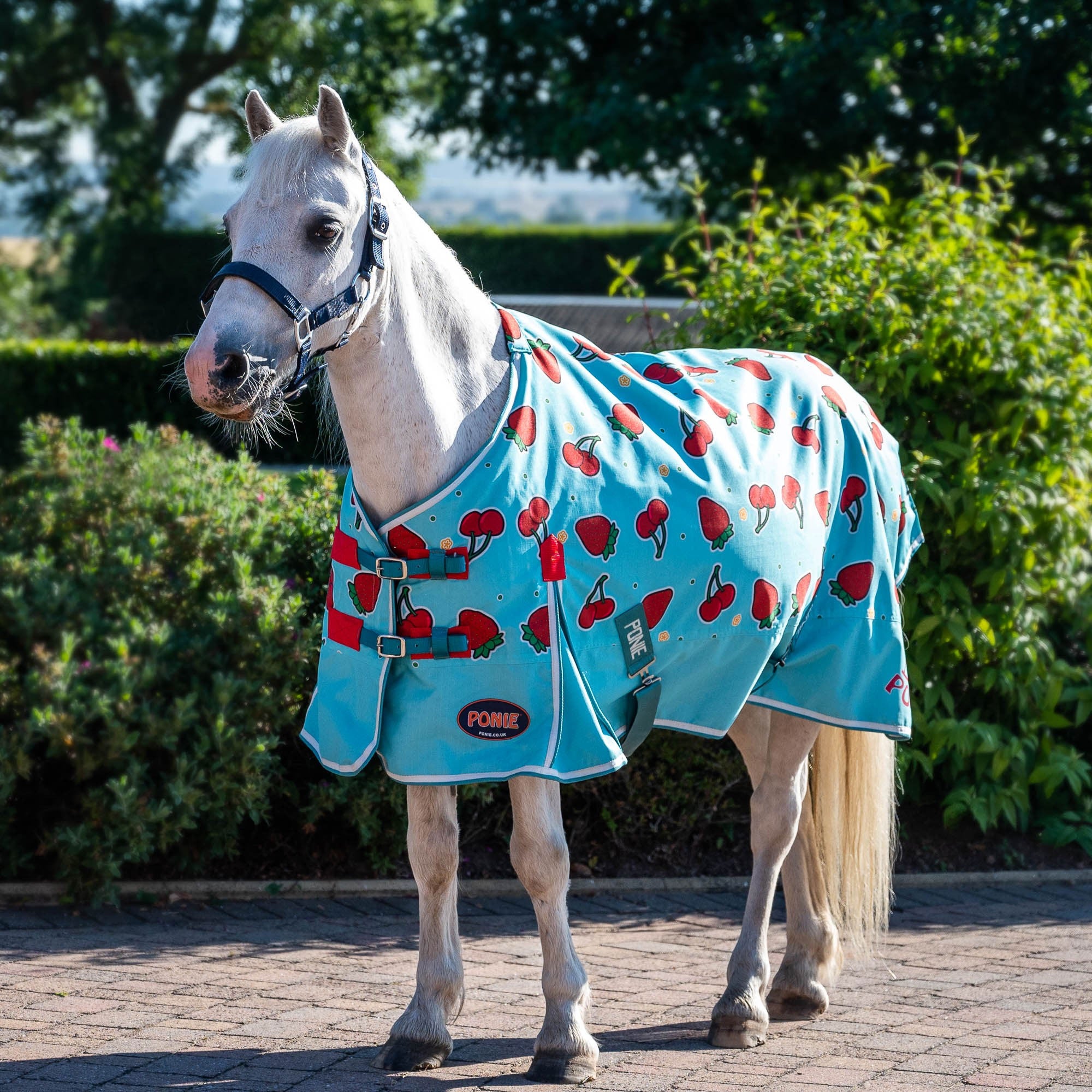 Gallop 0g Standard No Fill Turnout Rug Millbry Hill