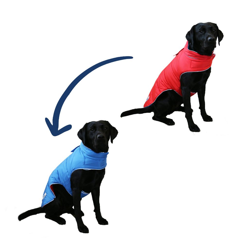 The Ancol Viva Reversible Dog Coat in Red