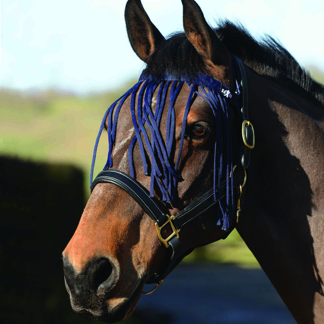 The Saxon Fly Fringe in Navy#Navy