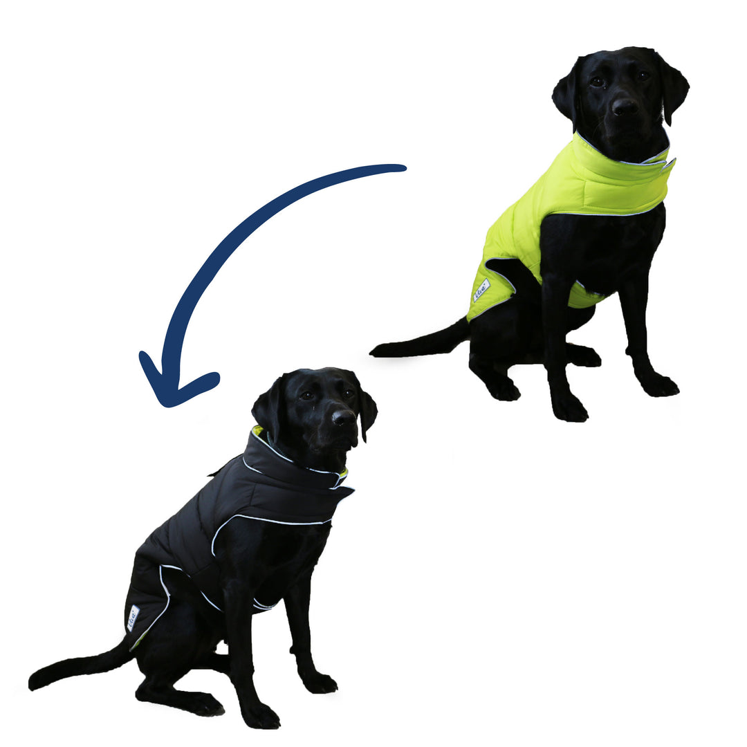 The Ancol Viva Reversible Dog Coat in Black#Black