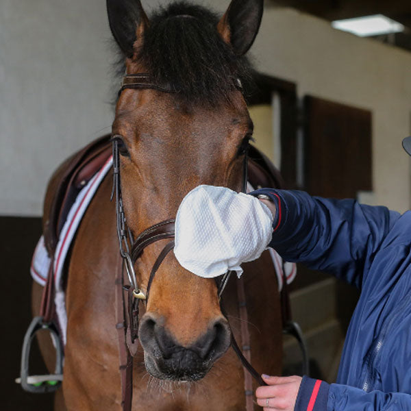 Belvoir Step 1 Tack Cleaning Mitt