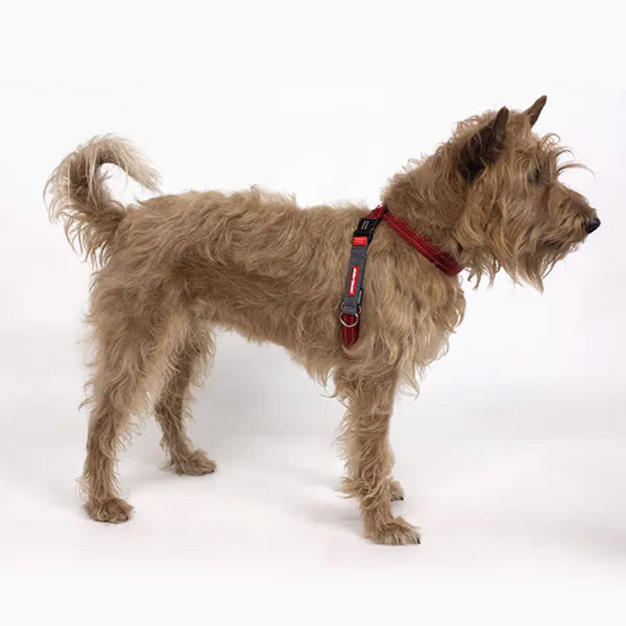 Ezydog Crosscheck Harness