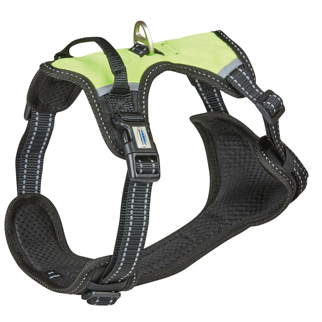 The Weatherbeeta Anti Pull/Travel Harness in Black#Black