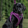 The Ancol Viva Step In Dog Harness in Pink#Pink