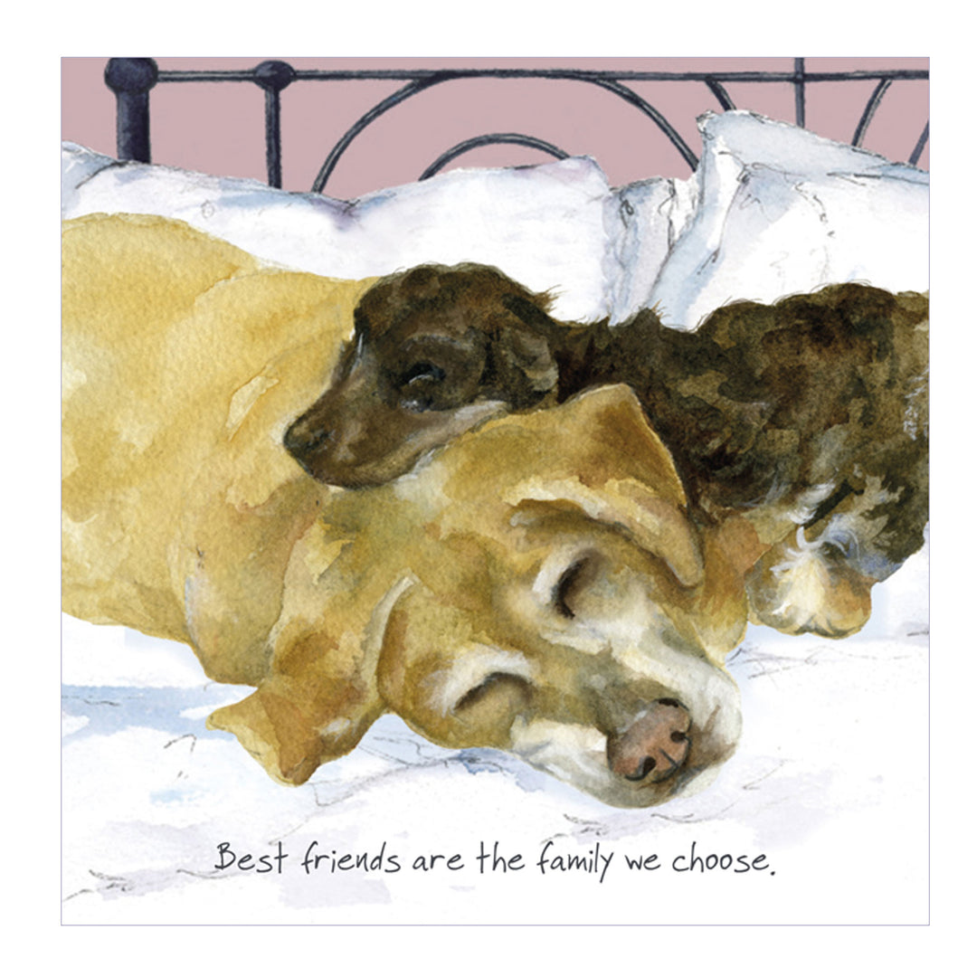 The Little Dog Laughed 'Choose Family' Digs & Manor Card