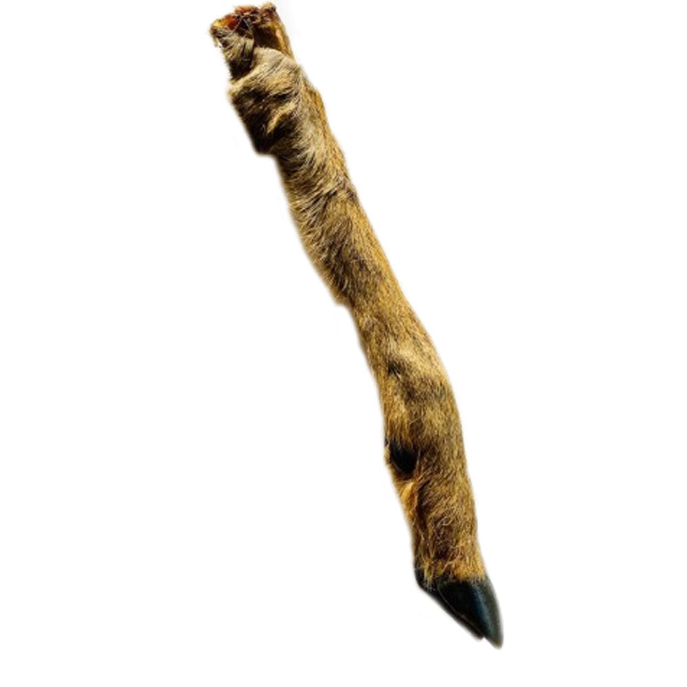 Anco Naturals Hairy Roe Deer Leg