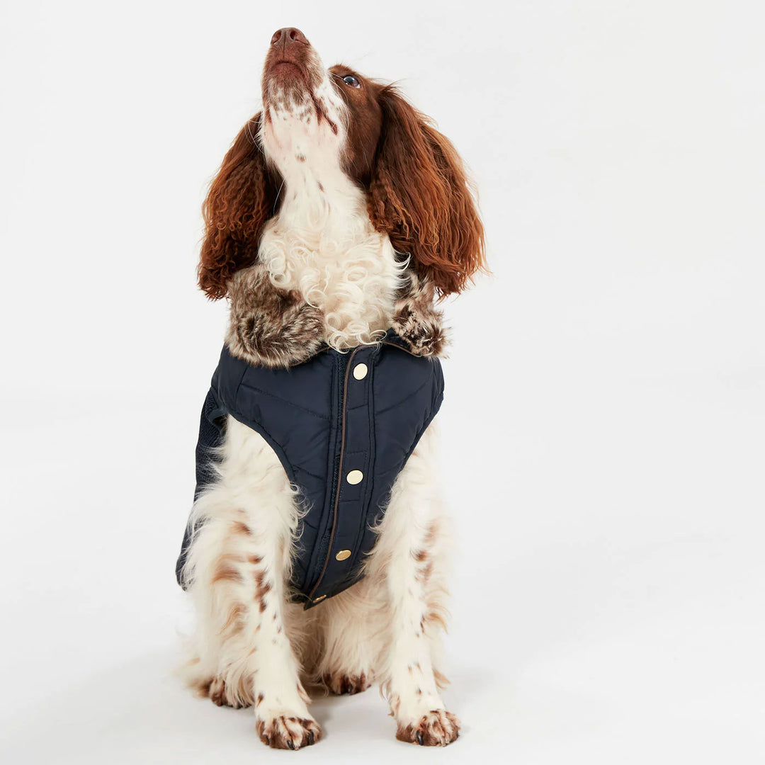 Joules Cherrington Dog Coat