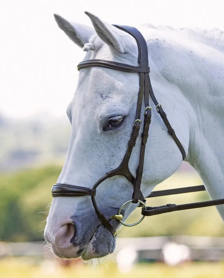 The Shires Velociti Rolled Padded Cavesson Bridle in Brown#Brown