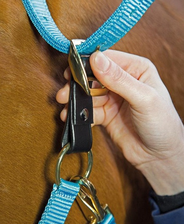 The Shires Aviemore Headcollar Breakaway Attachment in Black#Black