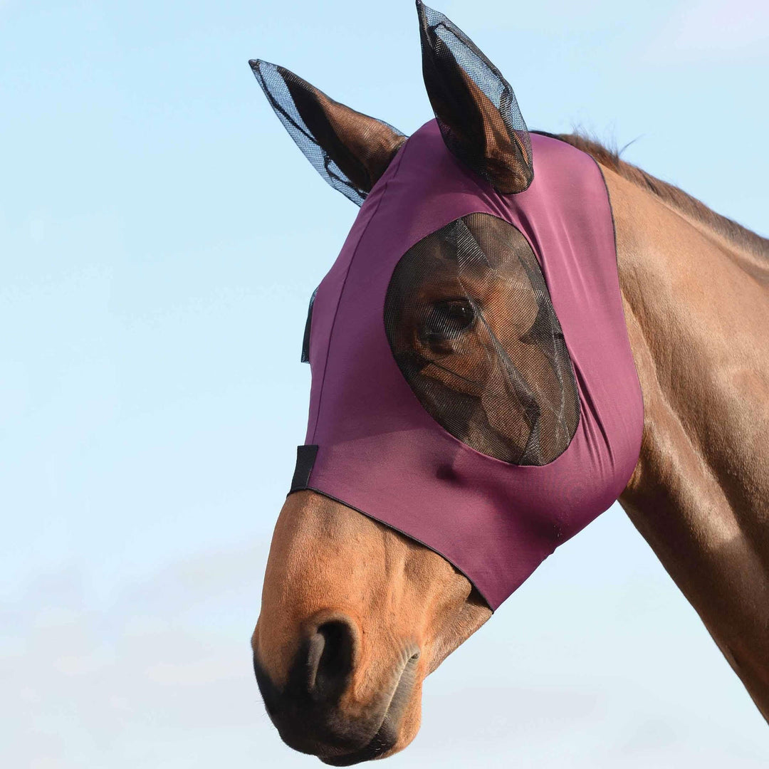 The Weatherbeeta Stretch Bug Eye Saver With Ears in Purple#Purple