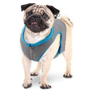 Pug shop cooling vest