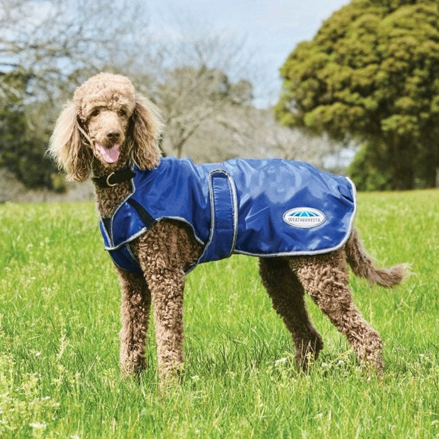 The Weatherbeeta Comfitec Windbreaker Free Dog Coat in Navy#Navy