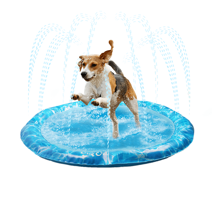 All For Paws Chill Out Sprinkler Fun Mat