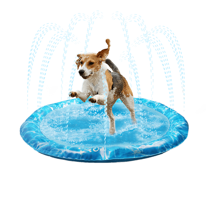 All For Paws Chill Out Sprinkler Fun Mat