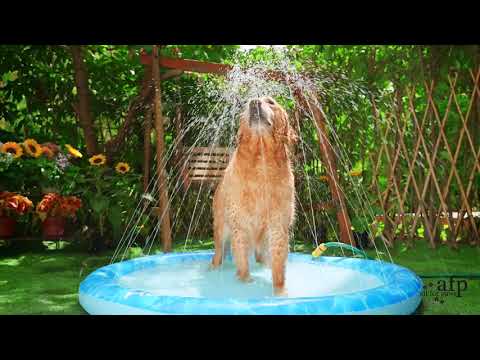 All For Paws Chill Out Sprinkler Fun Mat
