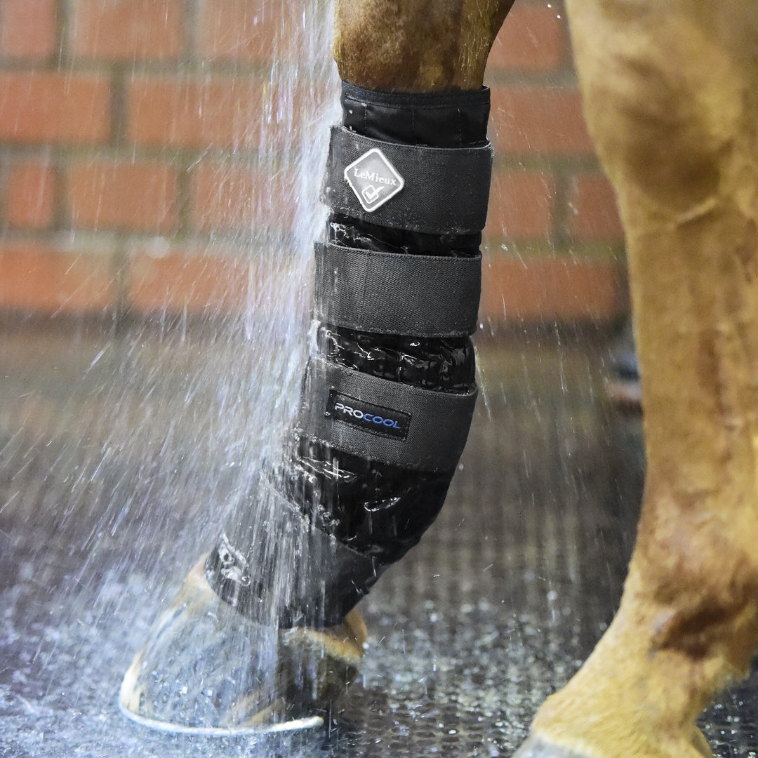 The LeMieux ProCool Cold Water Therapy Boots in Black#Black